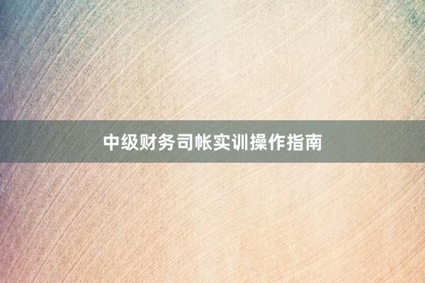 中级财务司帐实训操作指南